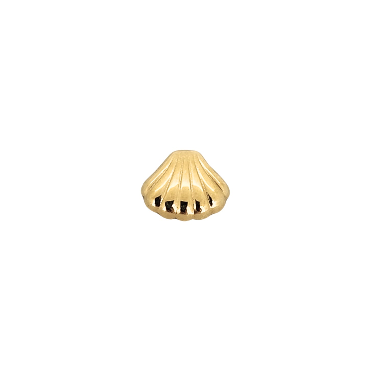 Aretes Conchita Oro 10k, Tipo Broquel