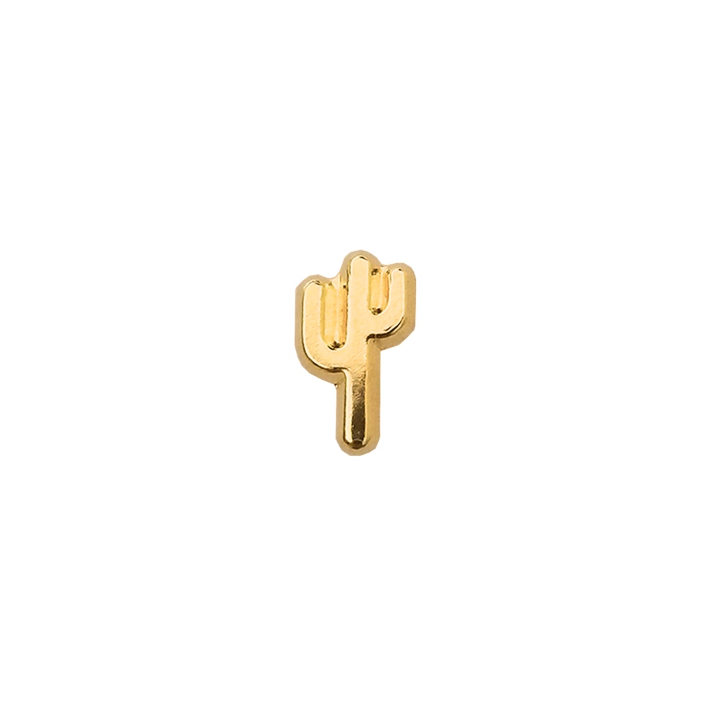 Aretes Cactus Oro 10k, Tipo Broquel