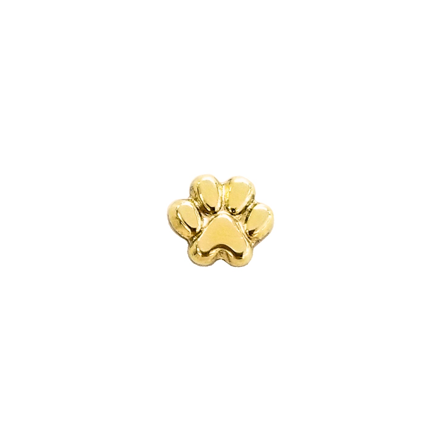 Arete Huella Perro / Gato, Oro 10K Tipo Broquel