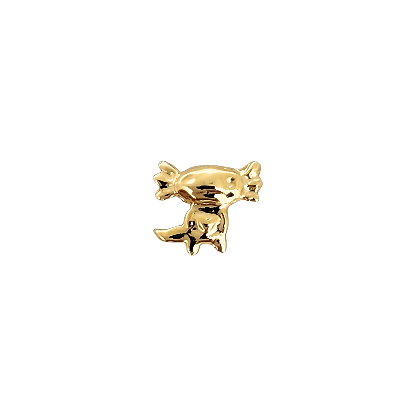 Aretes Oro 10K Broquel Ajolote (Axolote)
