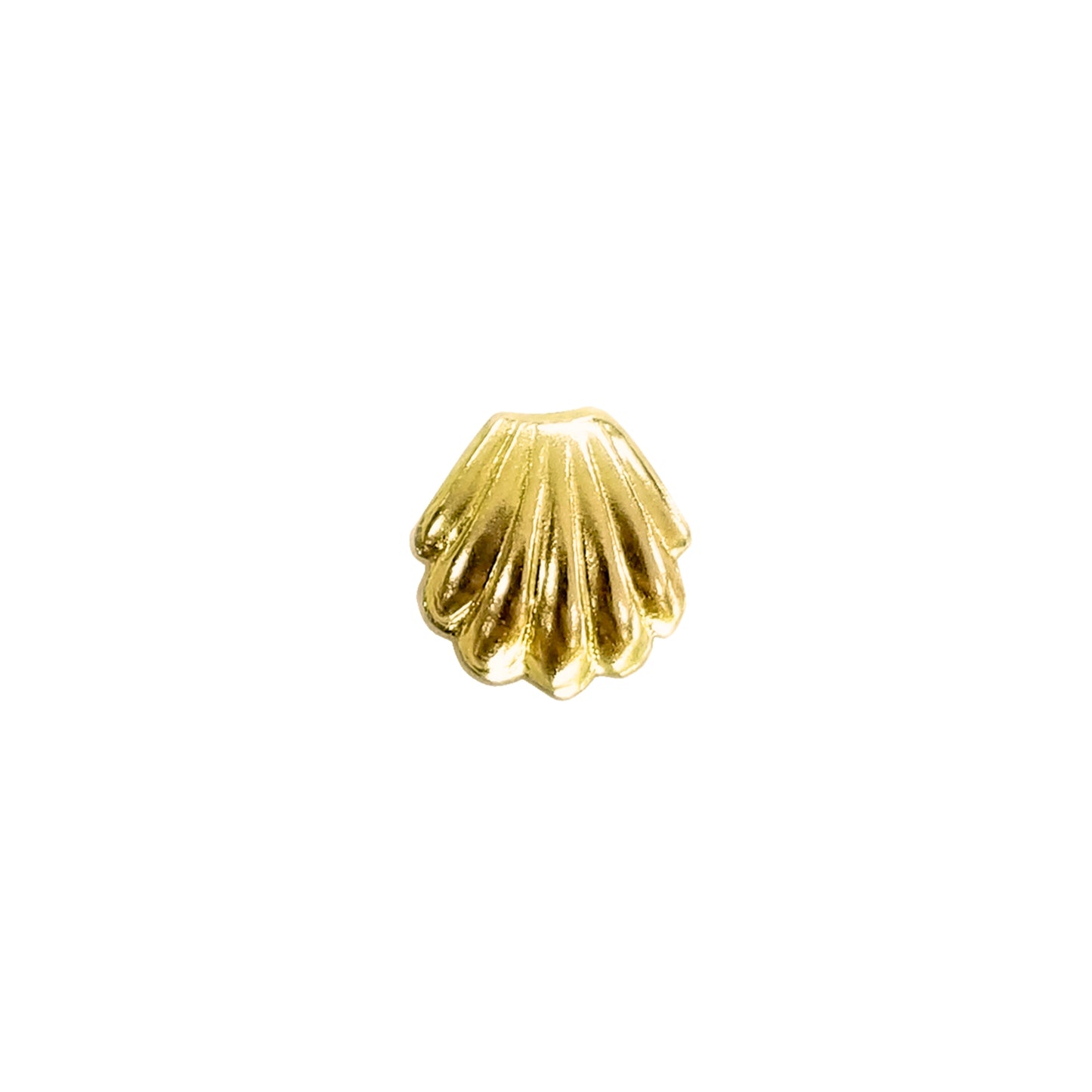 Aretes Almeja, Oro 10k Tipo Broquel