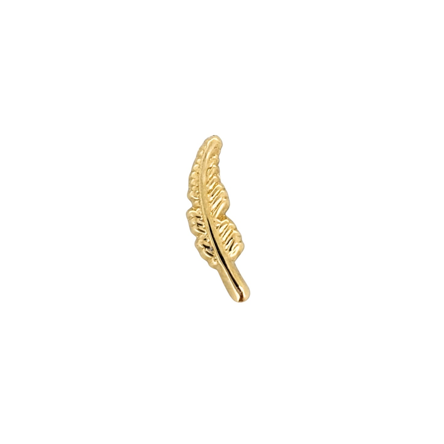 Aretes Oro 10K Broquel Pluma de Ave