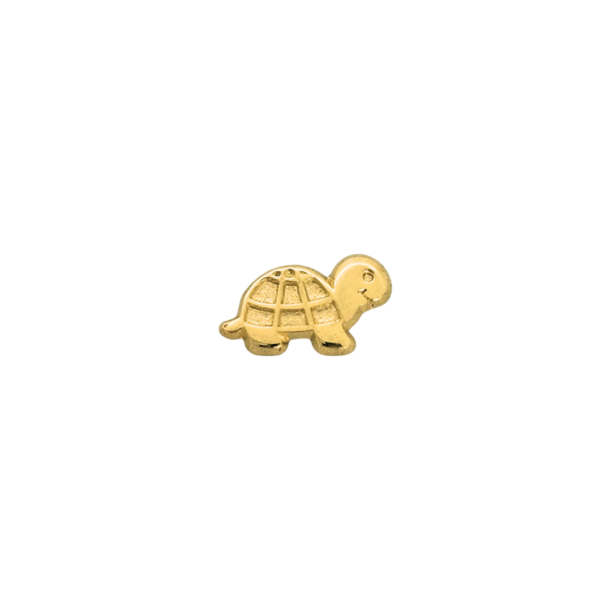 Aretes Oro 10K Broquel Tortuga