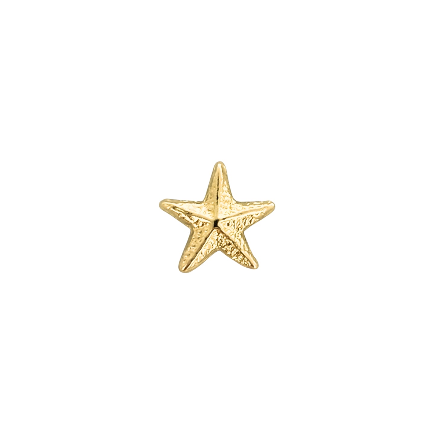 Aretes Oro 10K Broquel Estrella de Mar