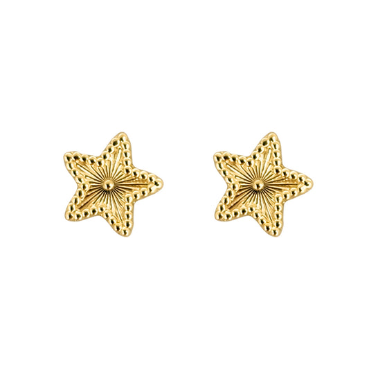 Aretes Oro 10K Broquel Estrella Rayada