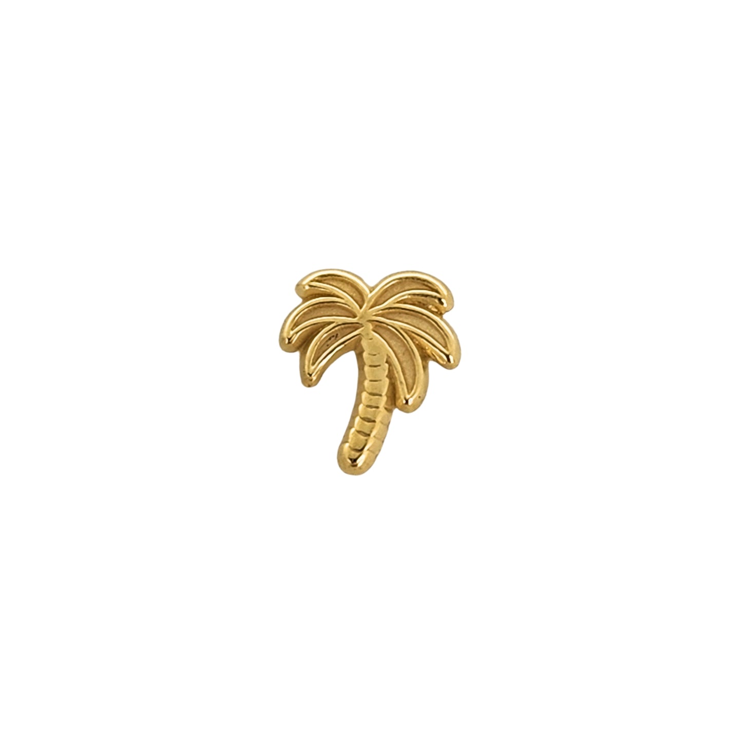 Aretes Oro 10K Broquel Palmera