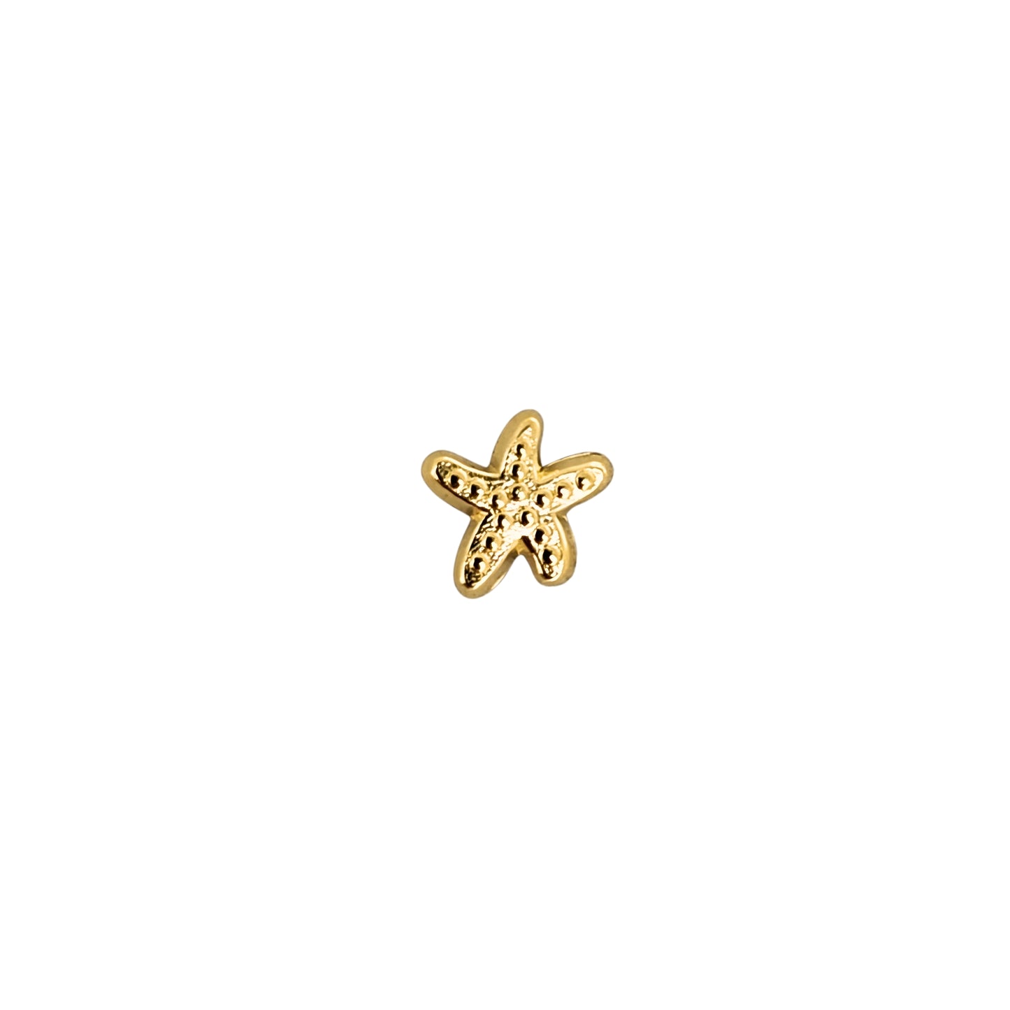 Aretes Oro 10K Broquel Estrella de Mar Mini